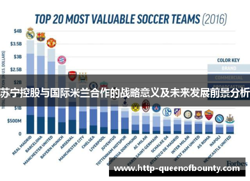 苏宁控股与国际米兰合作的战略意义及未来发展前景分析 苏宁控股与国际米兰合作的战略意义及未来发展前景分析